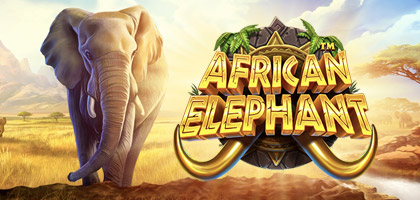 African Elephant