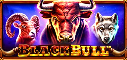 Black Bull