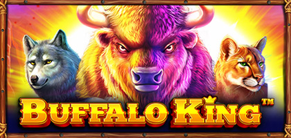 Buffalo King