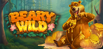 Beary Wild