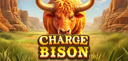 Charge Bison