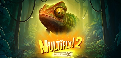 Multifly! 2